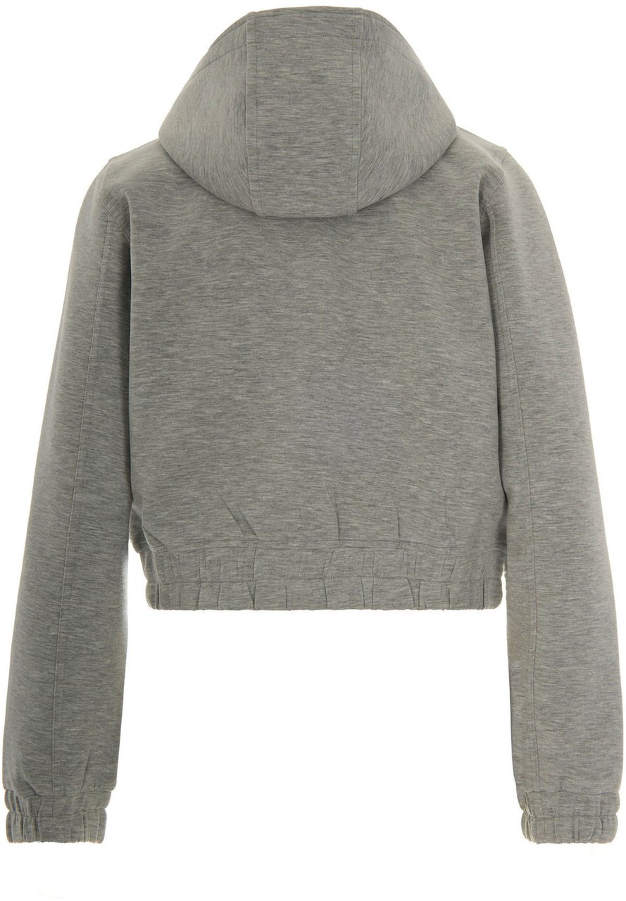 Pinko Sweaters Grigio Pioggerella Groen