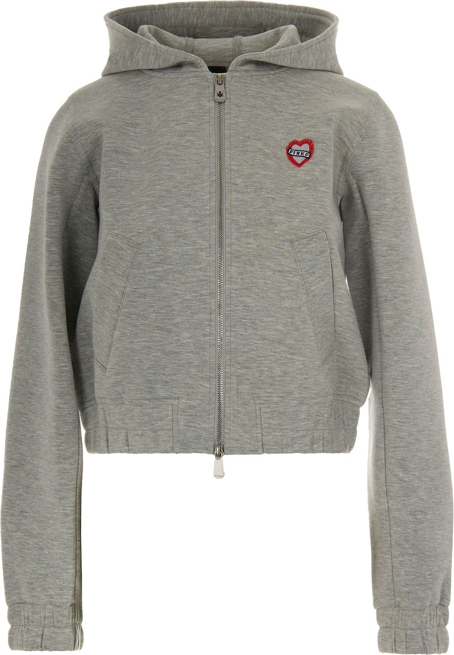 Pinko Sweaters Grigio Pioggerella Groen