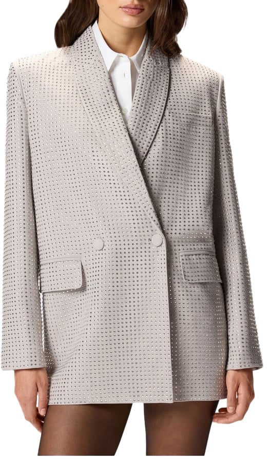 Pinko Blazers Gray Grijs