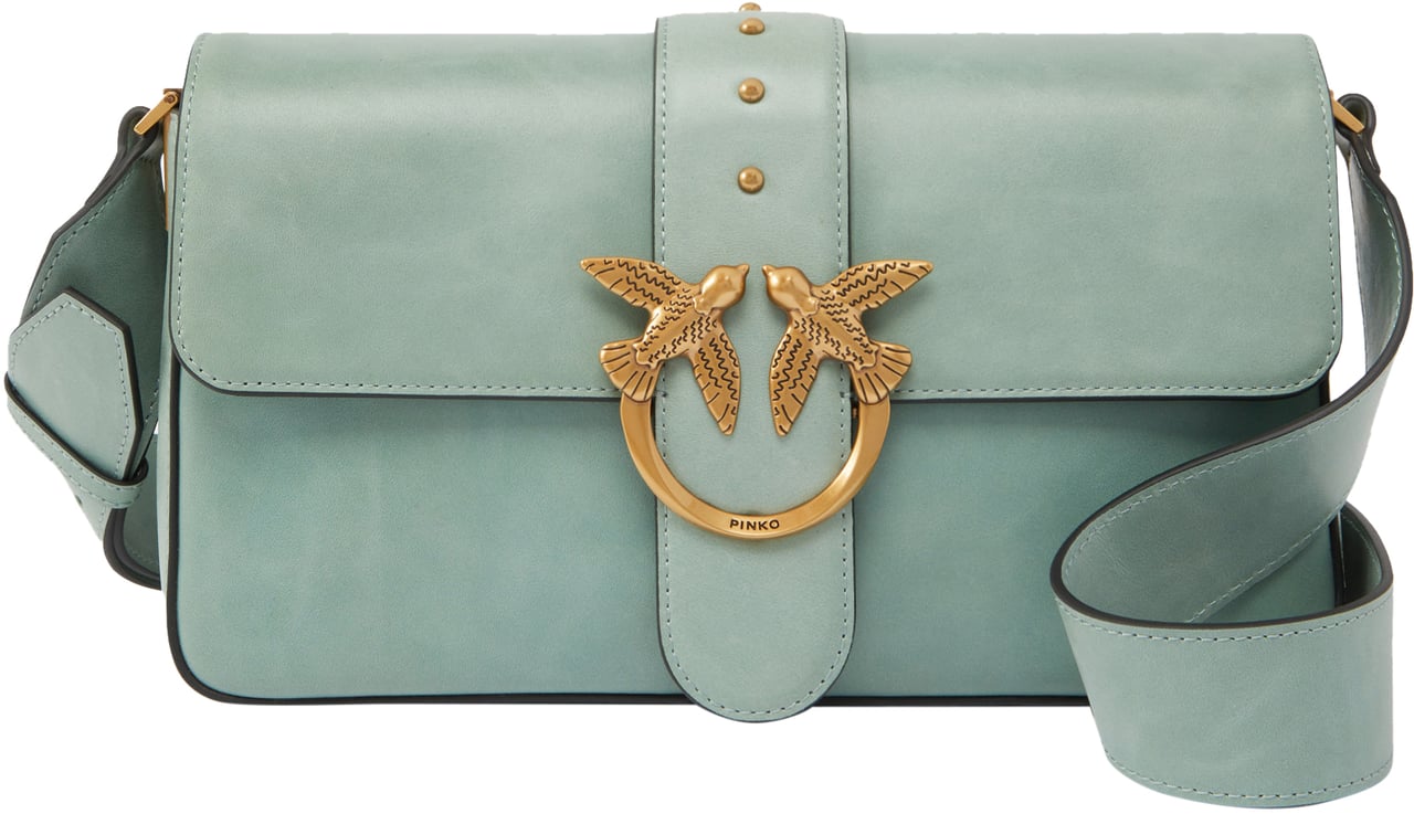 Pinko Bags Spruzzo Donda Antgold Divers