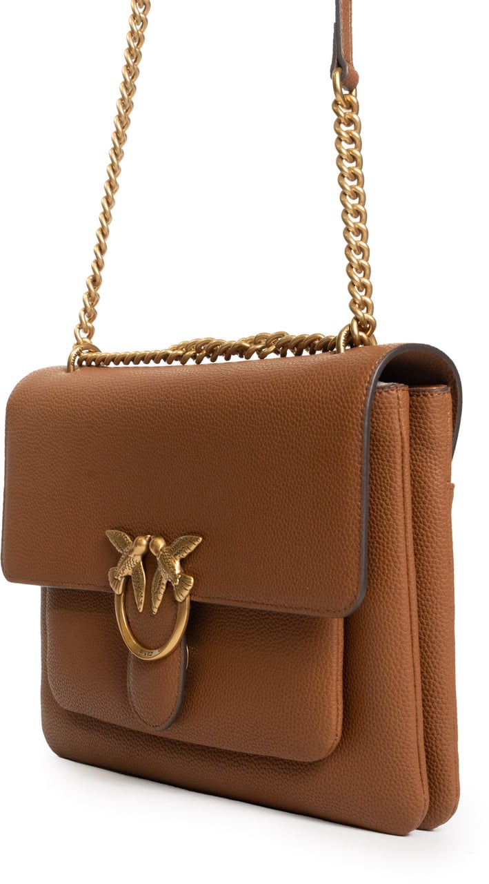 Pinko Bags Marrone Leoneantique Gold Bruin