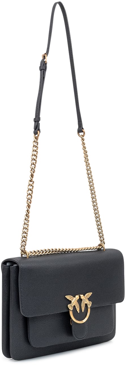 Pinko Bags Neroantique Gold Goud