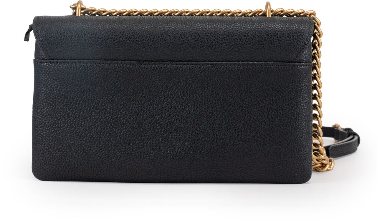 Pinko Bags Neroantique Gold Goud