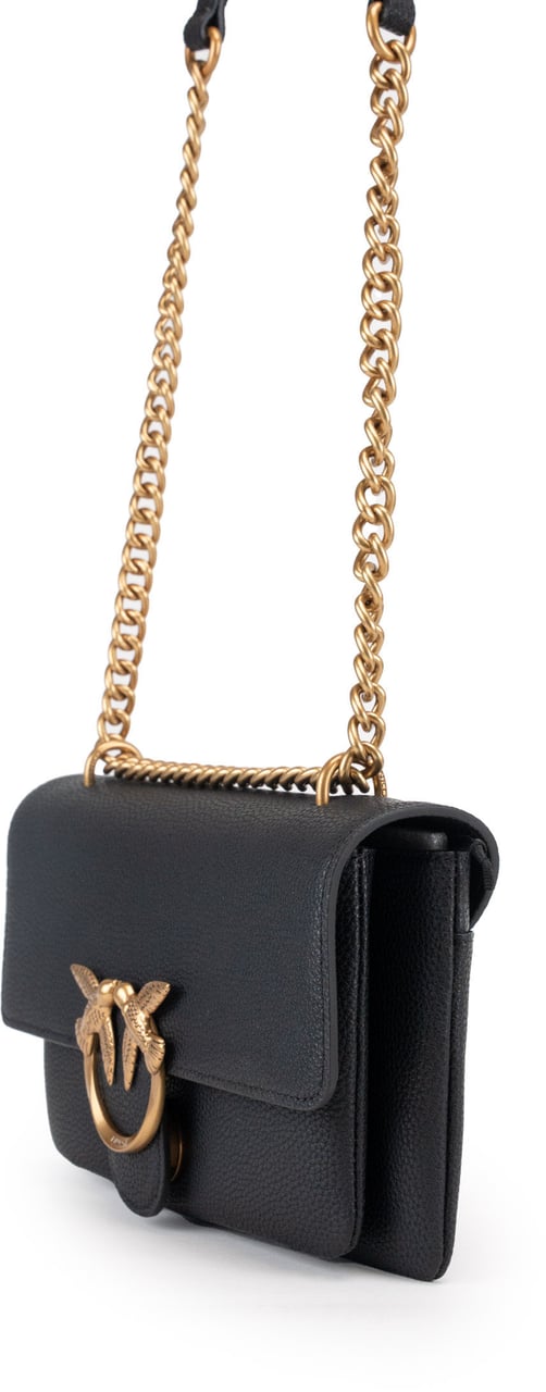 Pinko Bags Neroantique Gold Goud