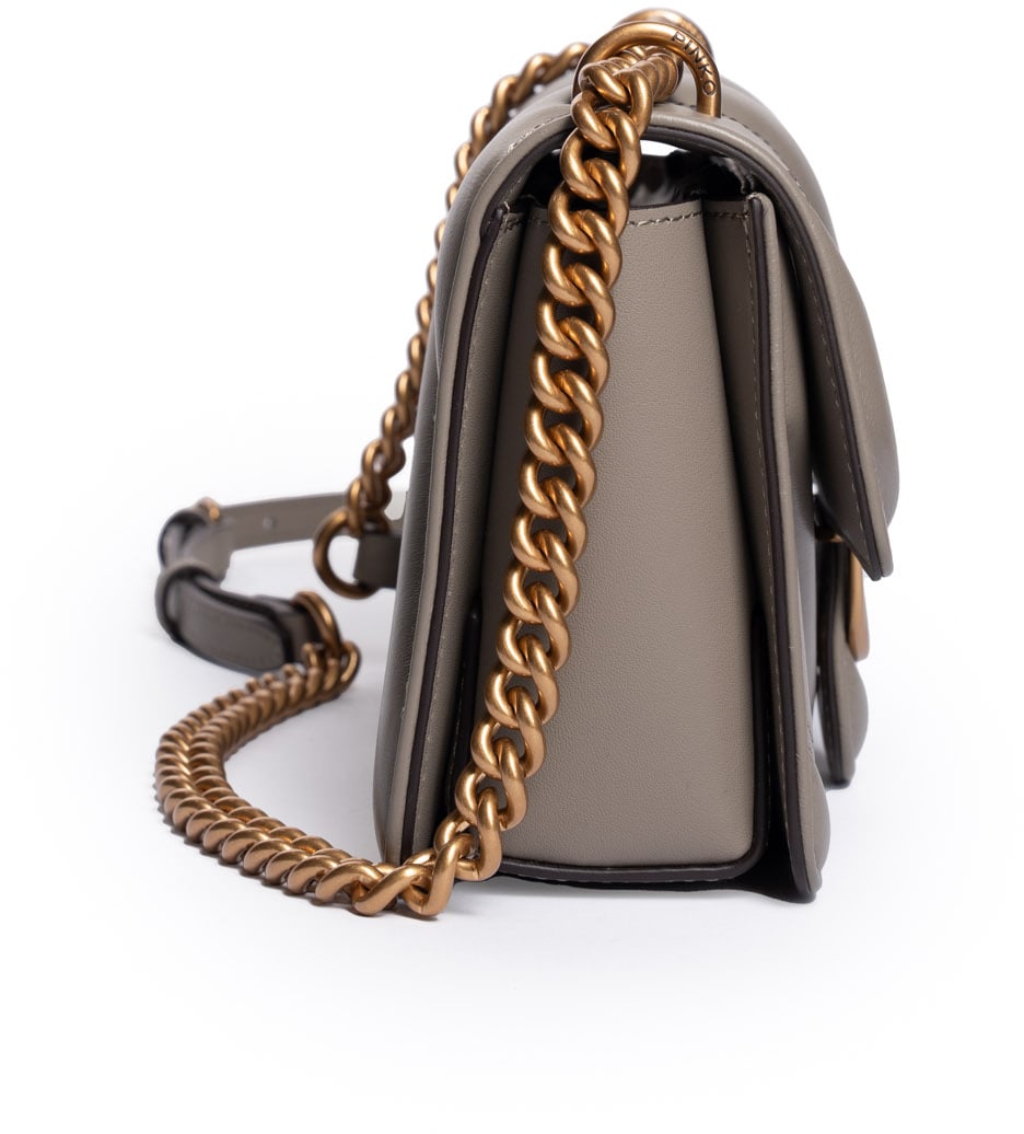 Pinko Bags Noceantique Gold Divers