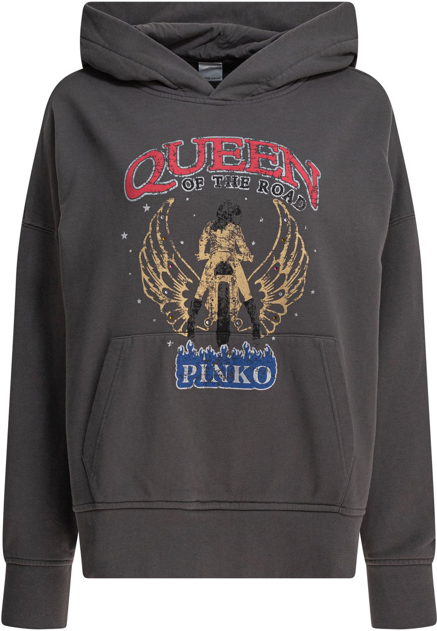 Pinko Sweatshirts Grijs