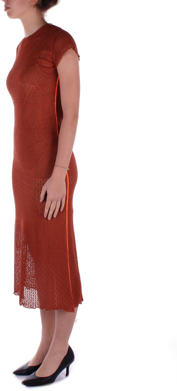 Pinko Dresses Brown Bruin