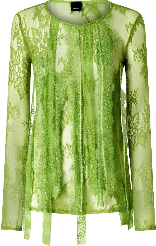 Pinko Sweaters Green Groen