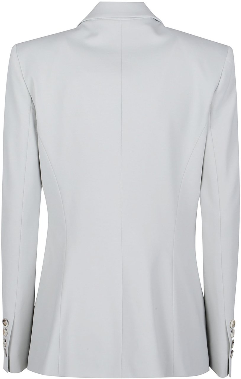 Pinko New Signum Jacket Grey Grijs