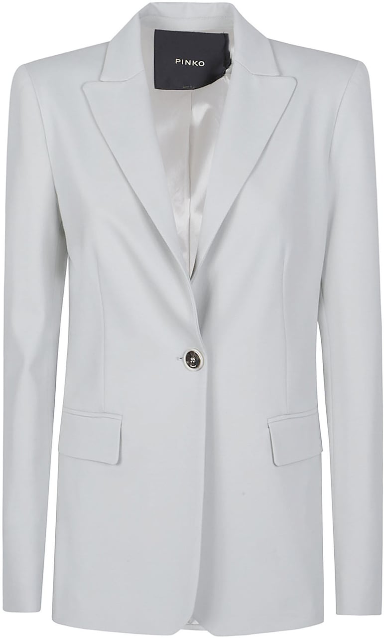 Pinko New Signum Jacket Grey Grijs