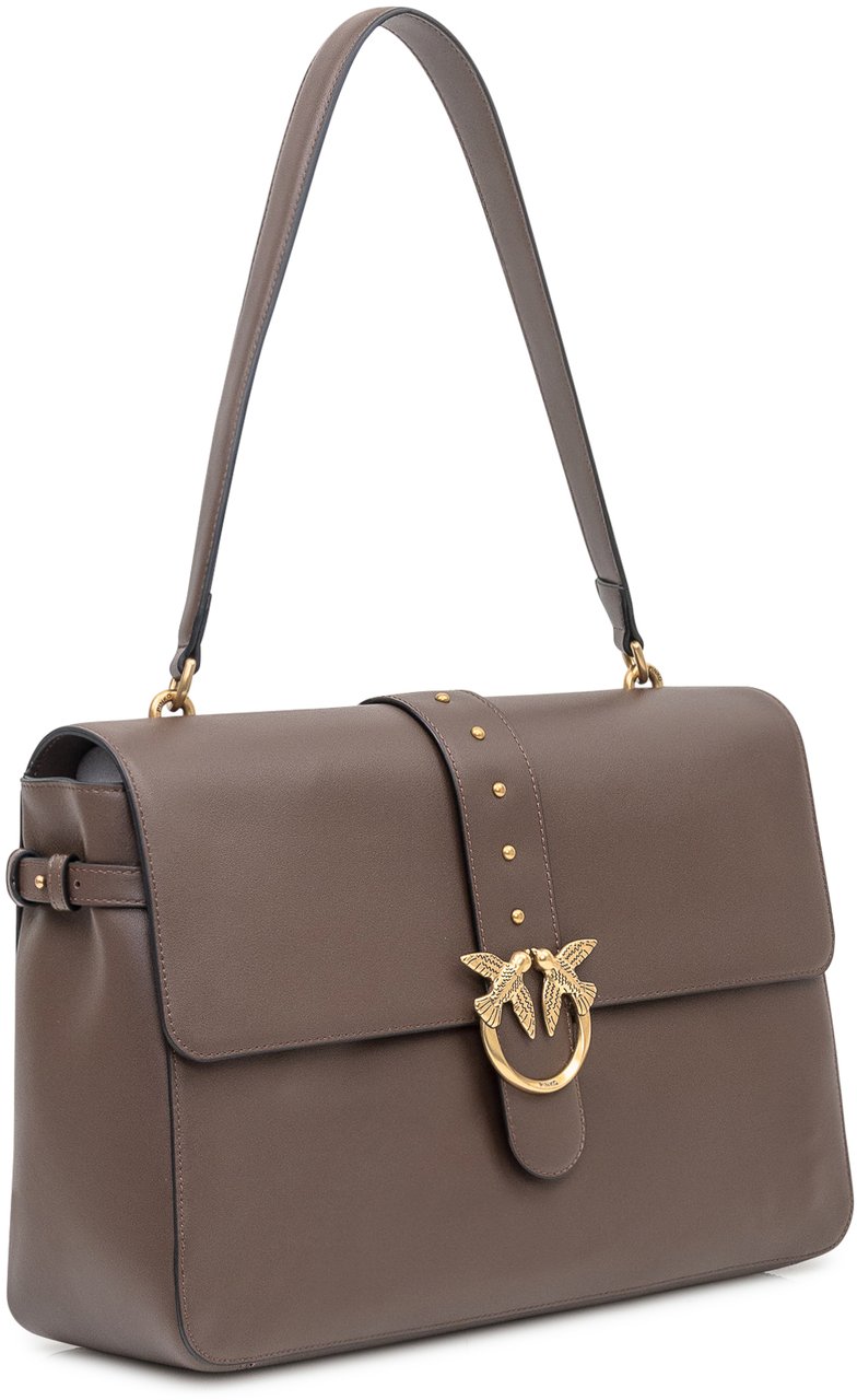 Pinko Bags Brown Bruin