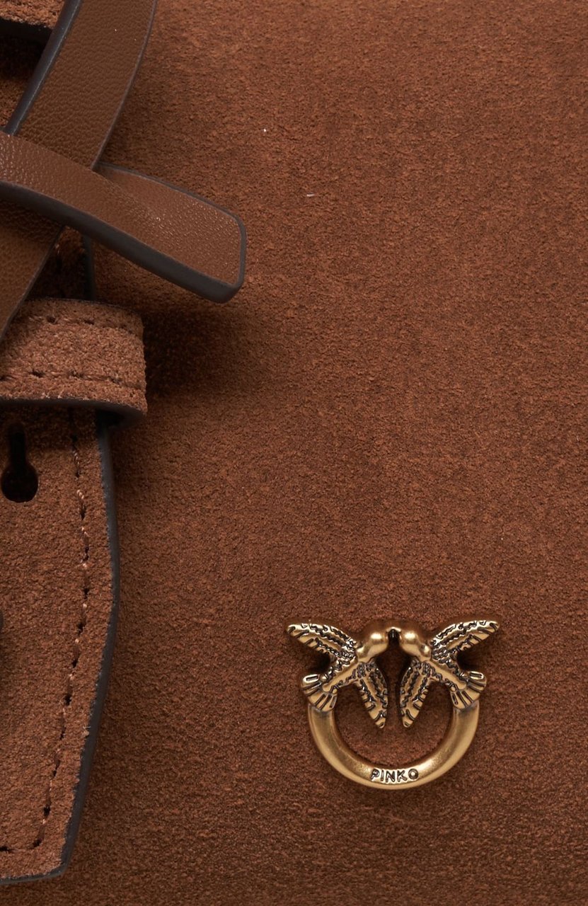 Pinko Handbag 'Escape Bag' Bruin