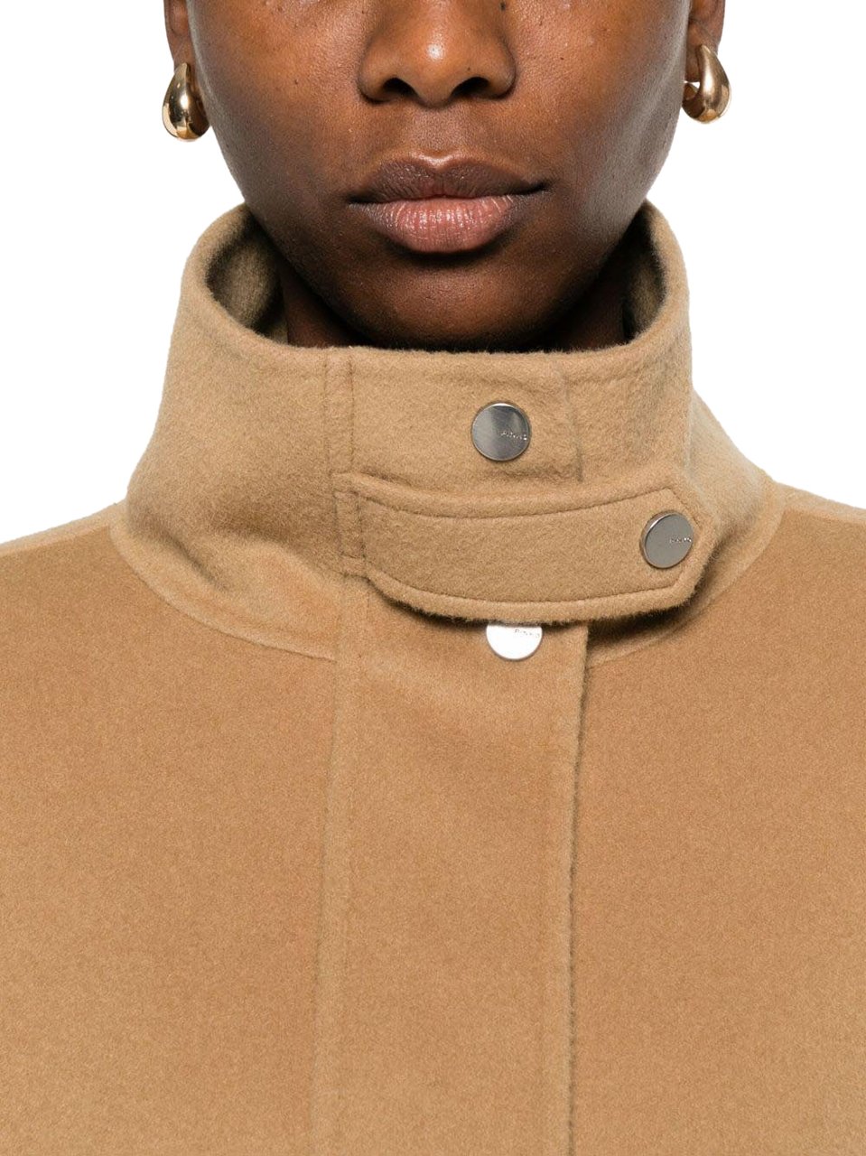 Pinko Coats Brown Bruin