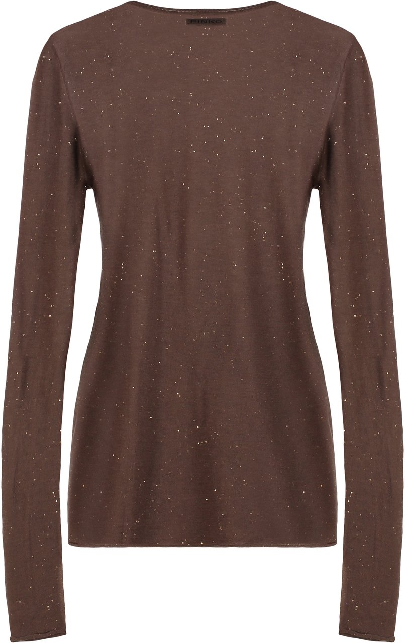 Pinko Pico Long sleeve sequin top Bruin