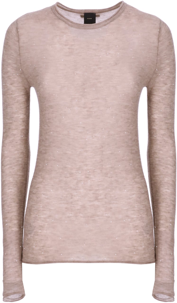 Pinko Sweaters Brown Bruin