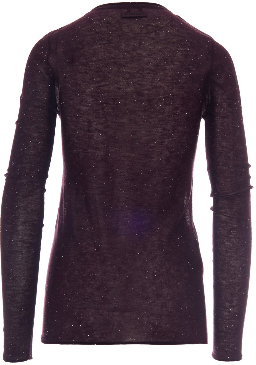 Pinko Sweaters Viola Prugna Perfetto Paars