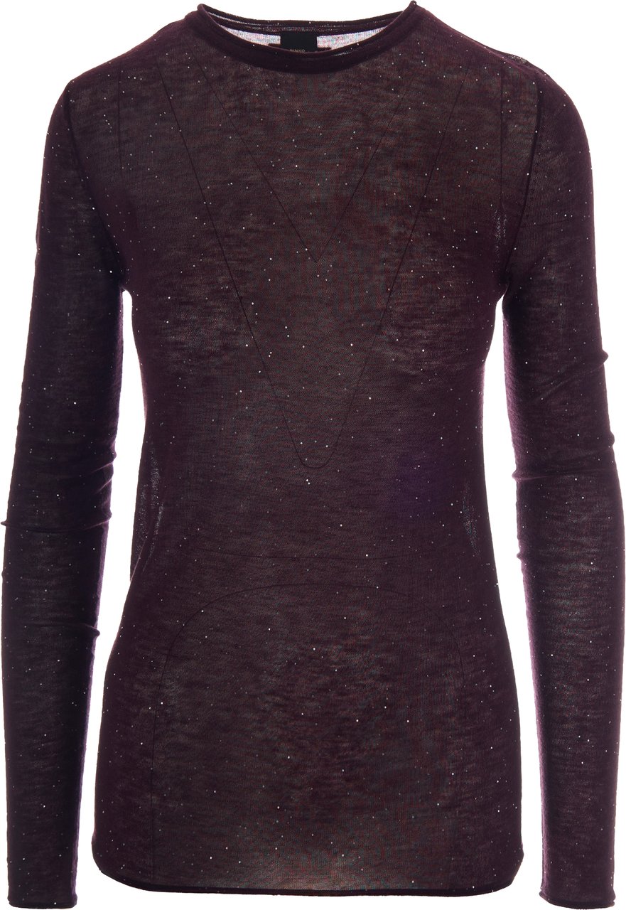 Pinko Sweaters Viola Prugna Perfetto Paars