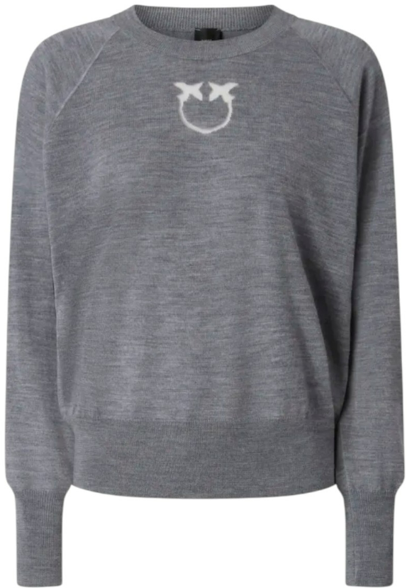 Pinko Sweaters Grey Grijs
