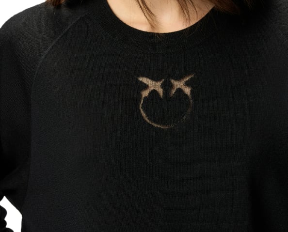 Pinko Sweaters Black Zwart