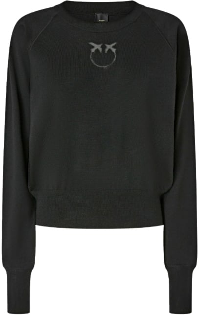 Pinko Sweaters Black Zwart