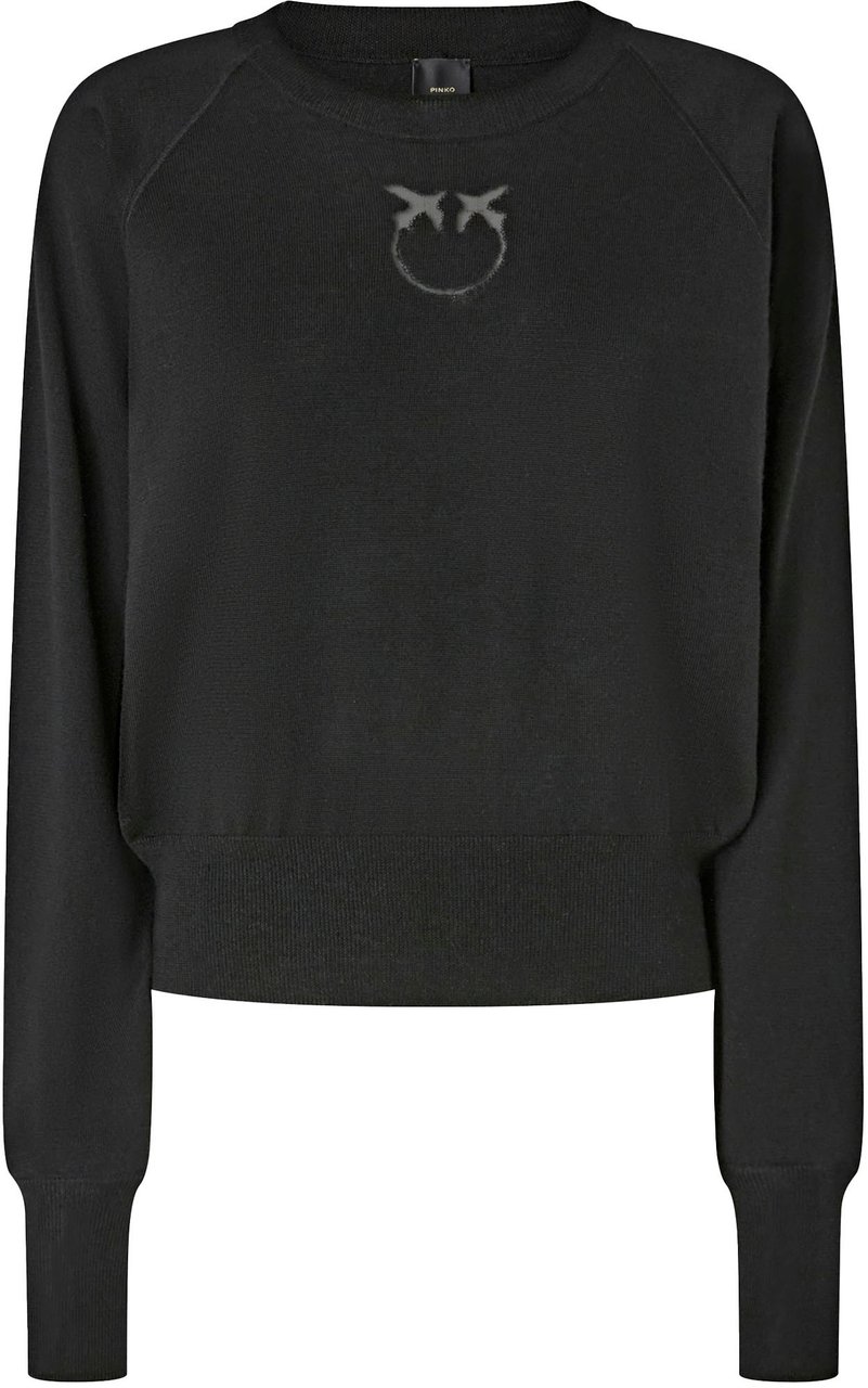 Pinko Sweaters Nero Limousine Zwart