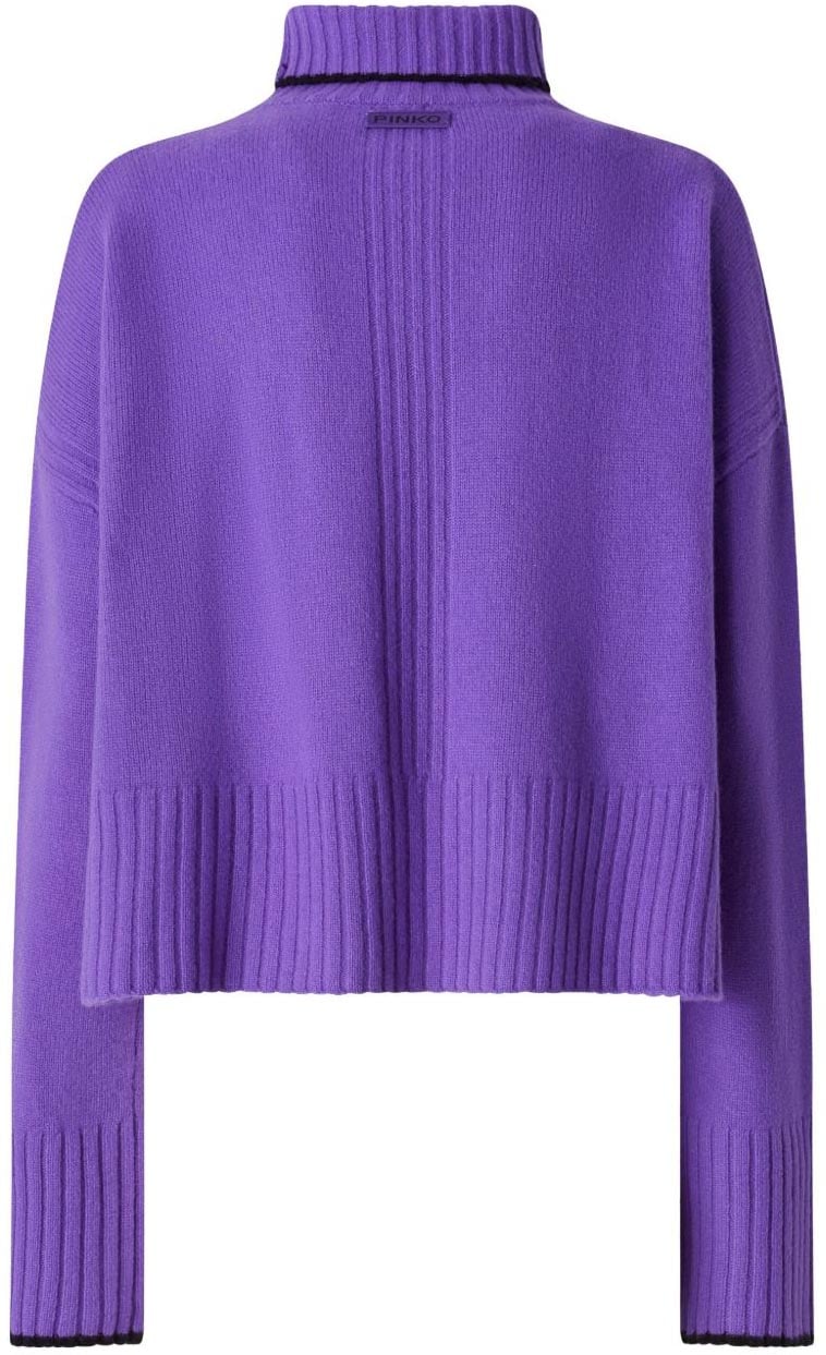 Pinko Sweaters Purple Paars