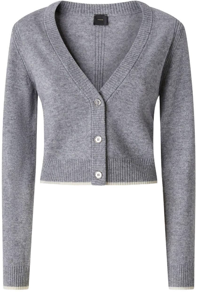 Pinko Sweaters Grey Grijs
