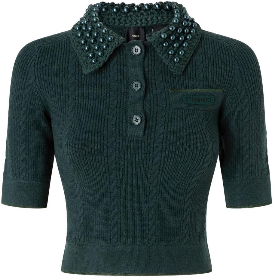 Pinko Sweaters Green Groen