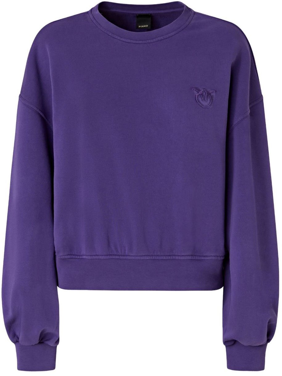Pinko Sweaters Purple Paars