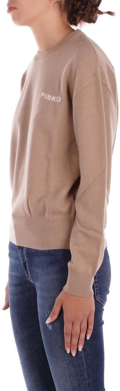 Pinko Sweaters Camel Beige