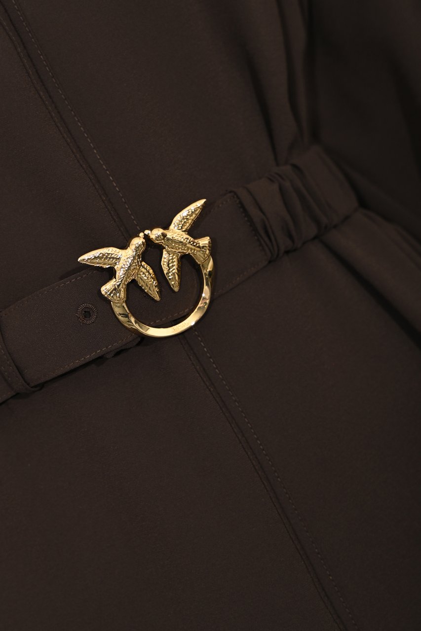 Pinko Dresses Marrone Oltre Buio Divers