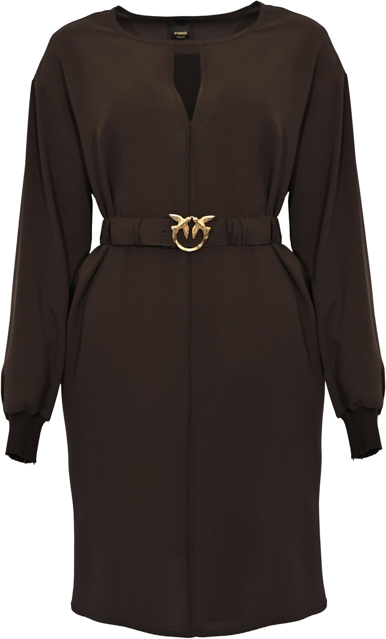 Pinko Dresses Marrone Oltre Buio Divers