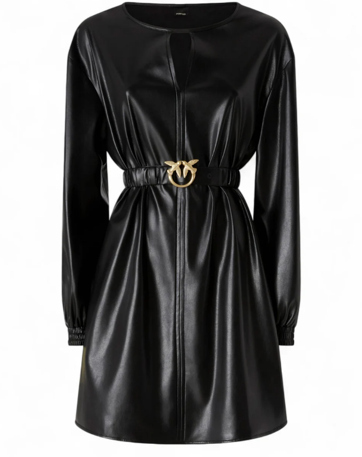 Pinko Dresses Black Zwart