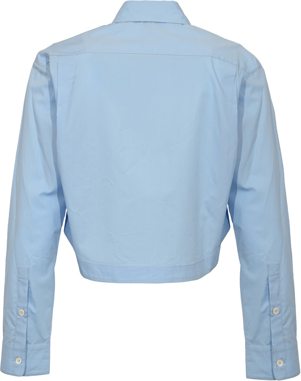 Pinko Shirts Azzurro Robbia Blauw