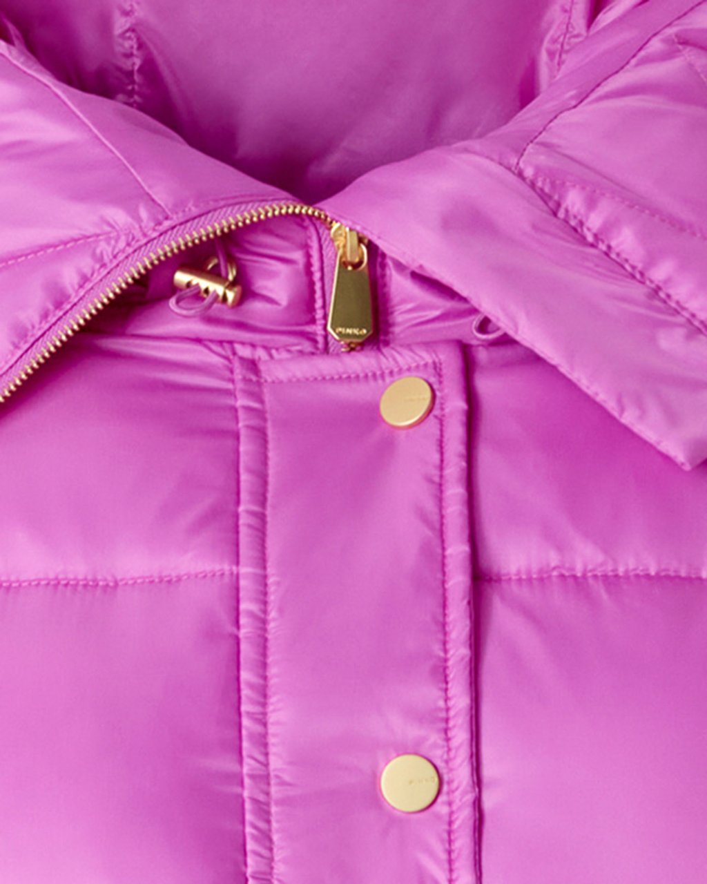 Pinko Coats Viola Bisanzio Paars