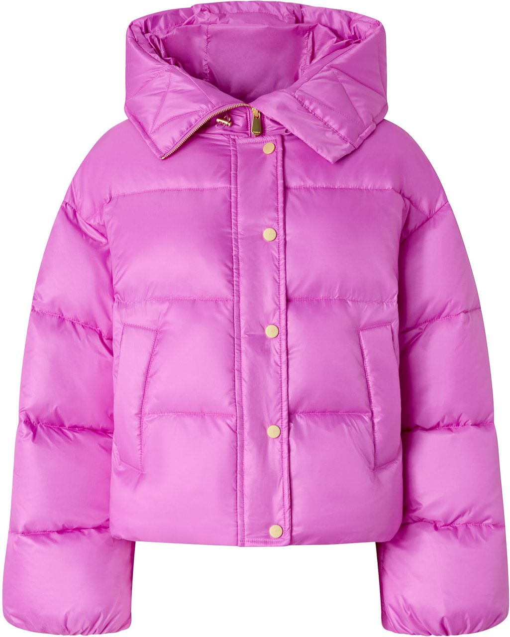 Pinko Coats Viola Bisanzio Paars