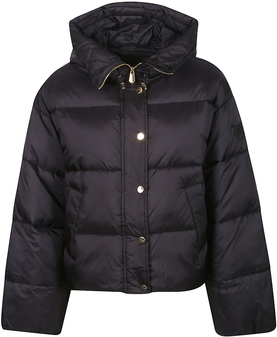 Pinko Impasto Down Jacket Black Zwart