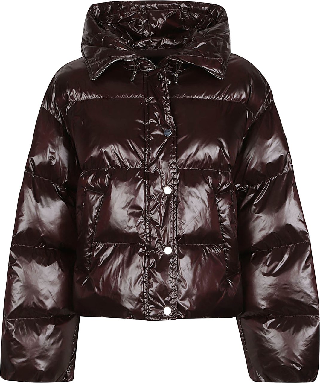 Pinko Impasto Down Jacket Brown Bruin