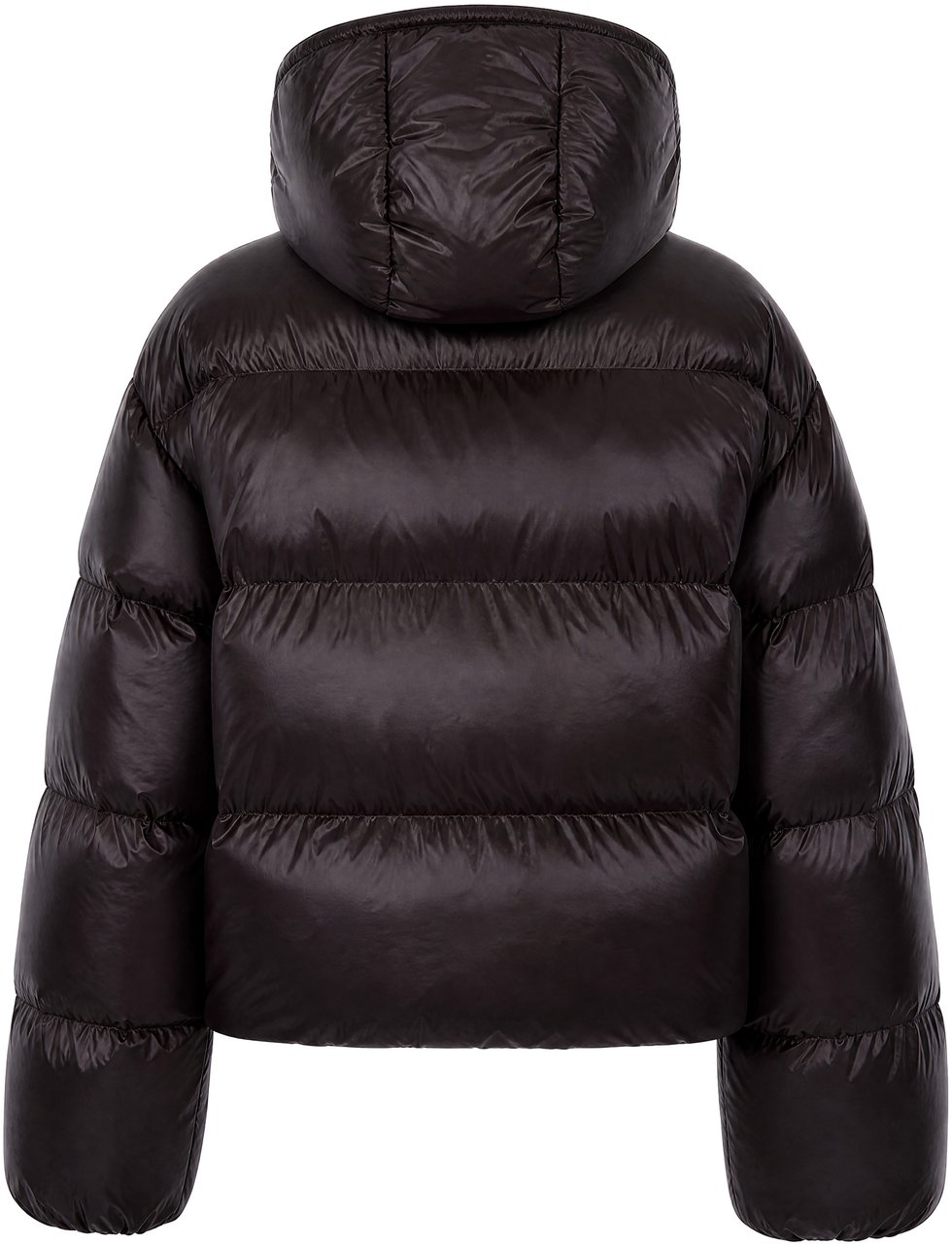 Pinko Coats Marrone Testa Moro Bruin