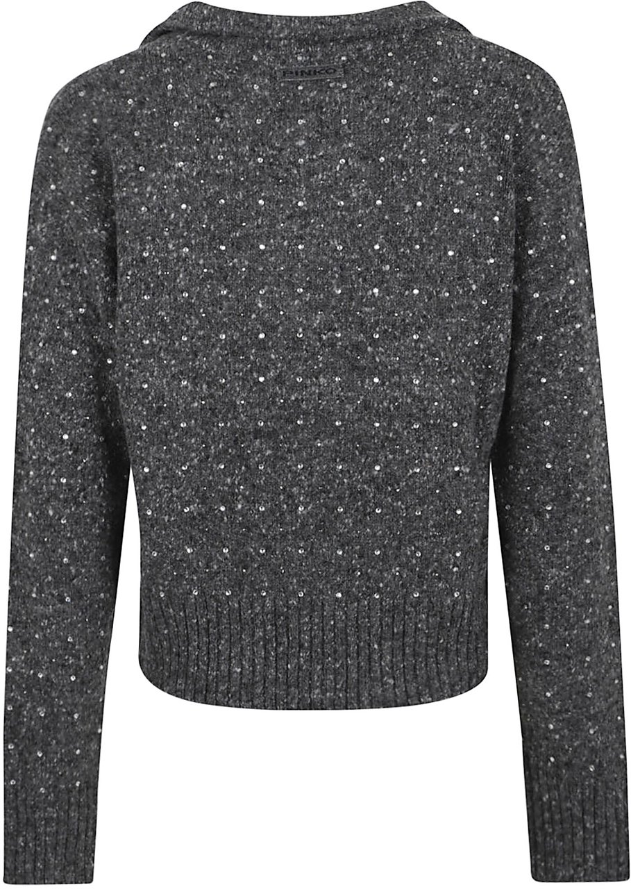 Pinko PINKO 105684.A2U4 Grijs