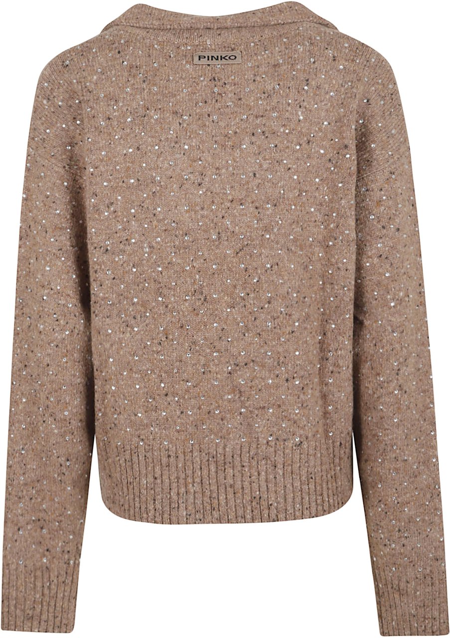 Pinko PINKO 105684.A2U4 Bruin