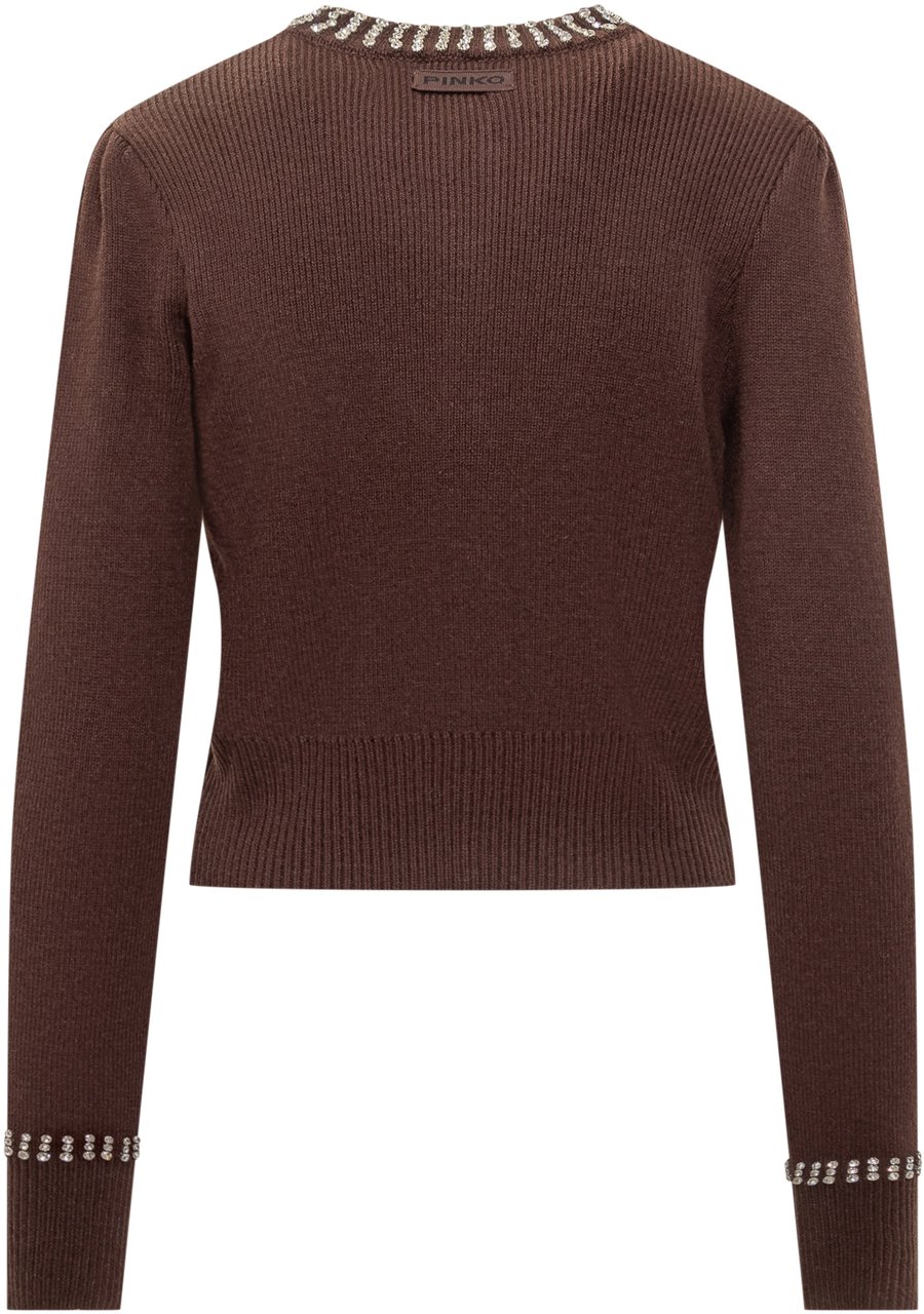 Pinko Cardigan Pinko Bruin