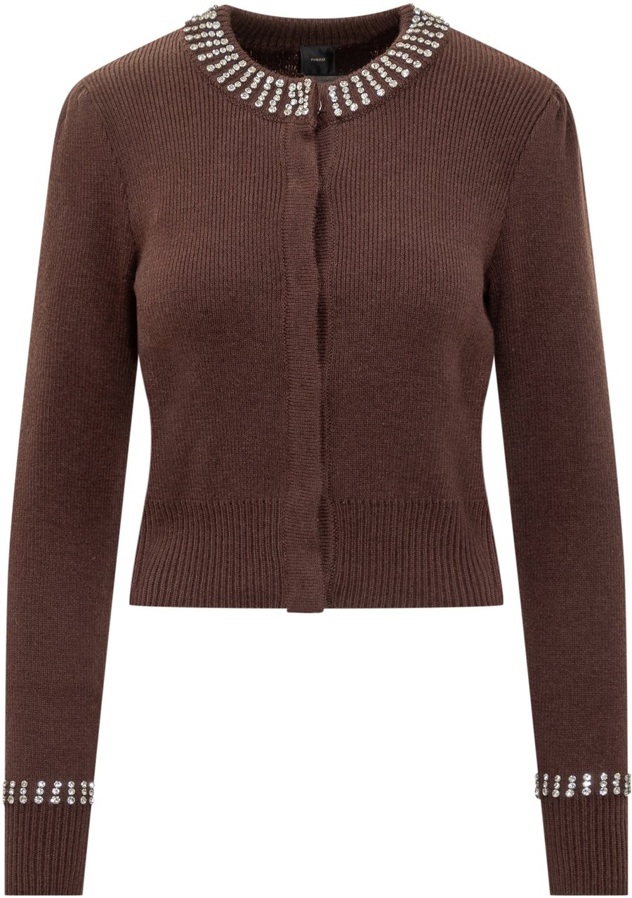 Pinko Cardigan Pinko Bruin