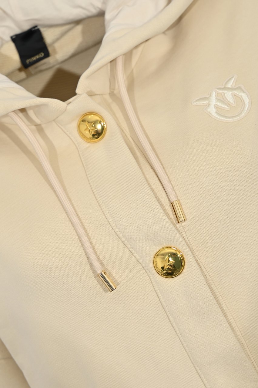 Pinko Sweaters Sabbia Sbianc Beige