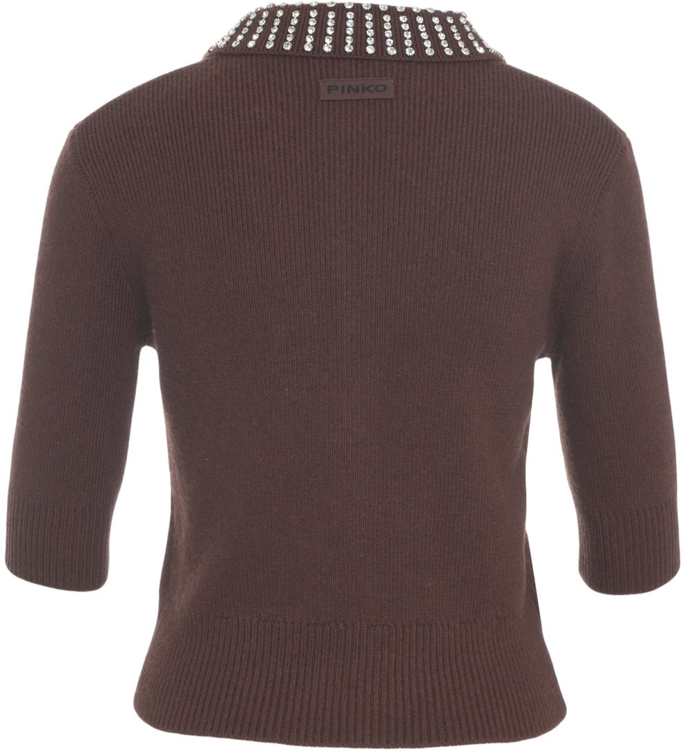 Pinko Knit Pullover with Rhinestone Embellishment Bruin