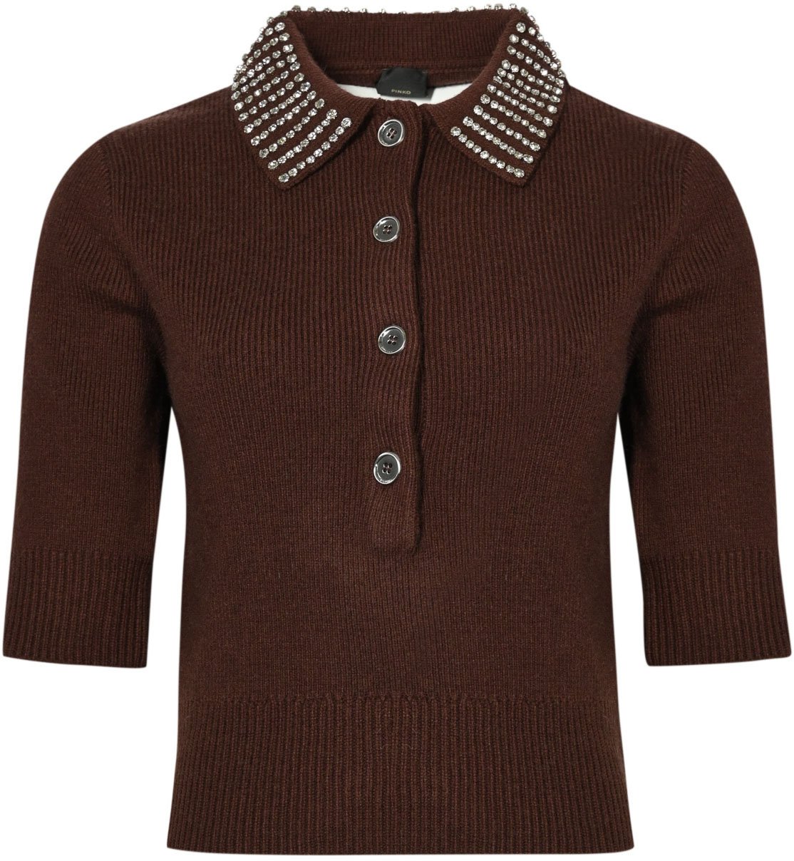 Pinko Sweaters Marrone Pulce Bruin