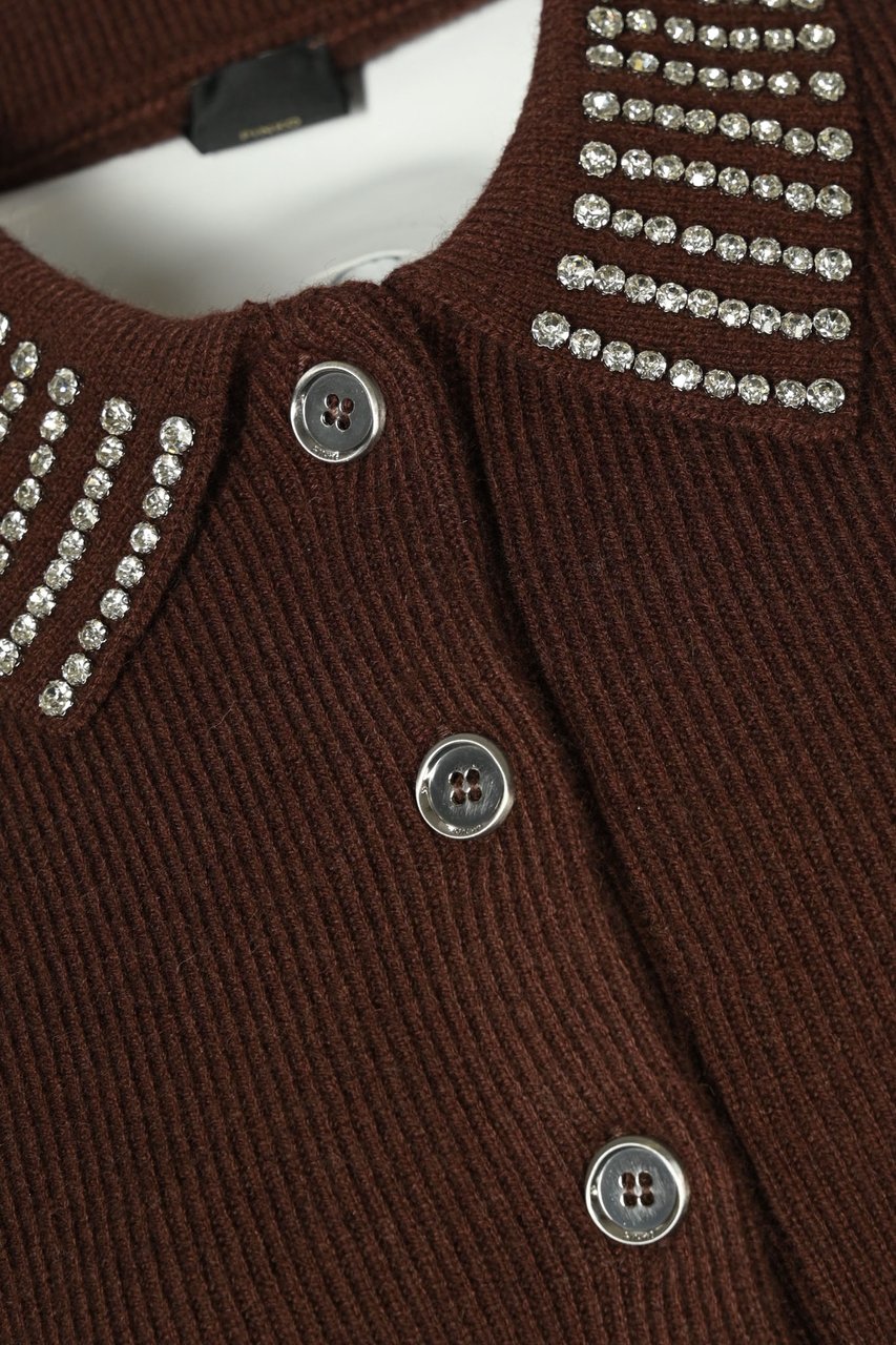 Pinko Sweaters Marrone Pulce Bruin