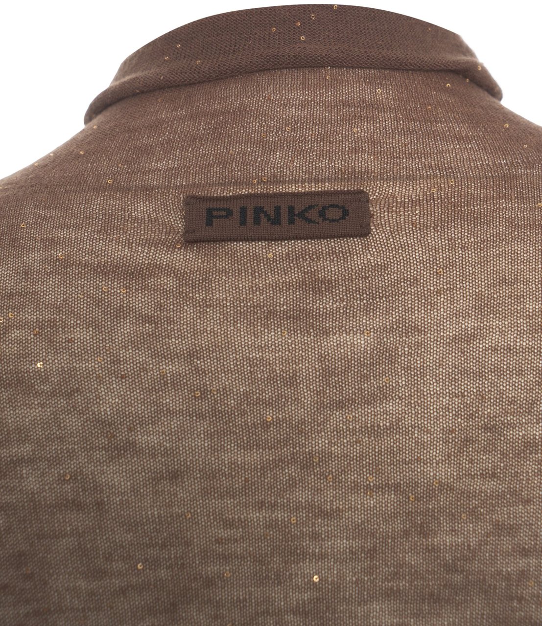 Pinko Top with turtleneck Bruin
