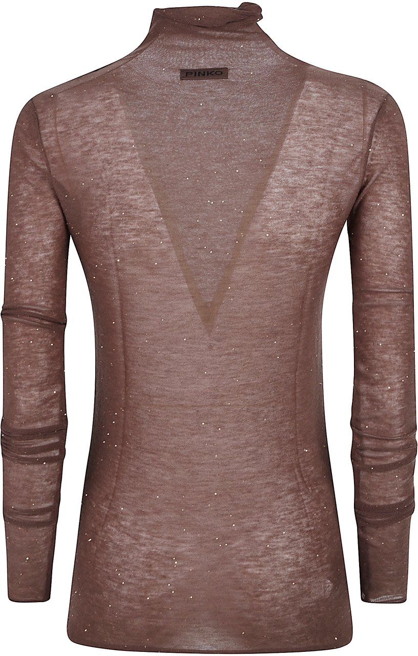 Pinko Moss Turtle Neck Sweater Brown Bruin