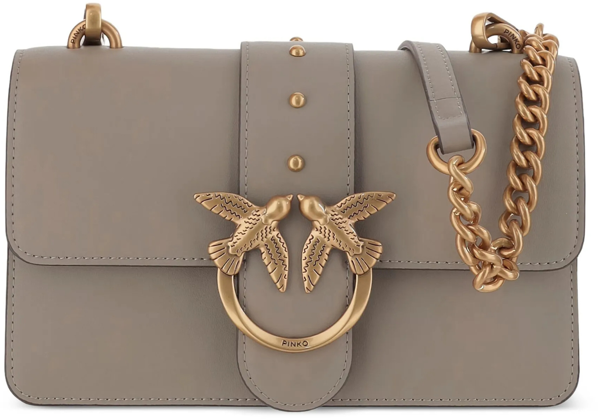 Pinko Bags Brown Bruin